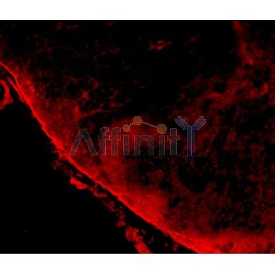 Валидация Affinity DF7507 - 19248