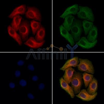 Валидация Affinity DF13459 - 8803