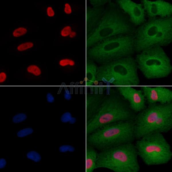 Валидация Affinity DF6172 - 17419