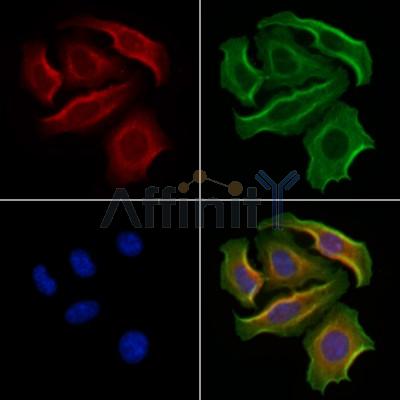 Валидация Affinity DF13164 - 8131