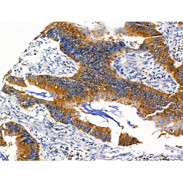 Валидация Affinity DF13345 - 8546