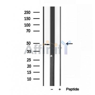 Валидация Affinity DF12107 - 6234