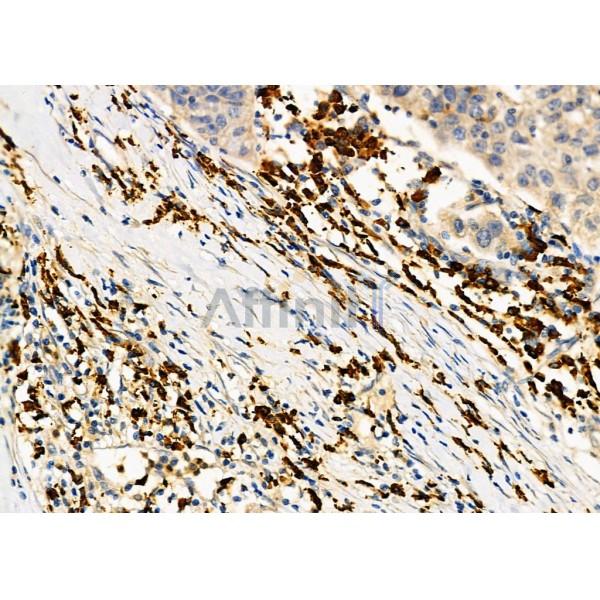 Валидация Affinity DF2957 - 13705