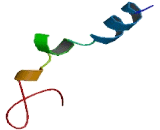 G Protein Coupled Receptor 149 (GPR149) G Protein Coupled Receptor 149 (GPR149)