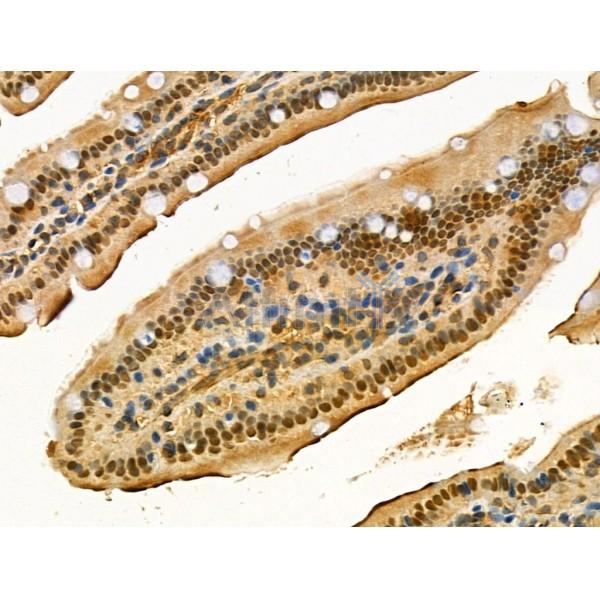 Валидация Affinity AF5245 - 2740