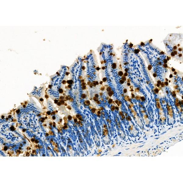 Валидация Affinity DF8339 - 20191