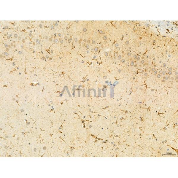 Валидация Affinity DF12136 - 6305