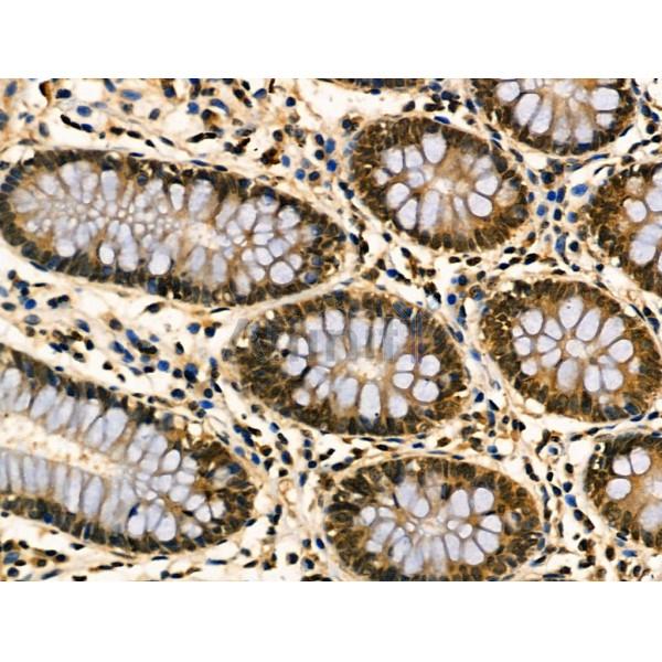 Валидация Affinity DF3110 - 13876