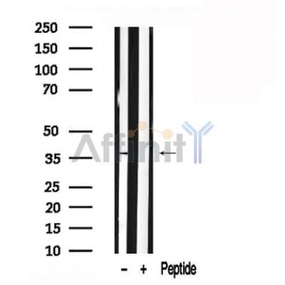 Валидация Affinity AF7560 - 4224