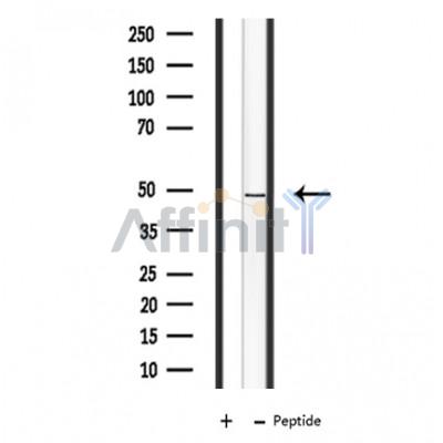 Валидация Affinity DF3628 - 14601