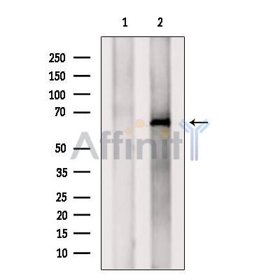 Валидация Affinity DF6436 - 17807