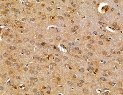 Валидация Affinity DF14613 - 10634