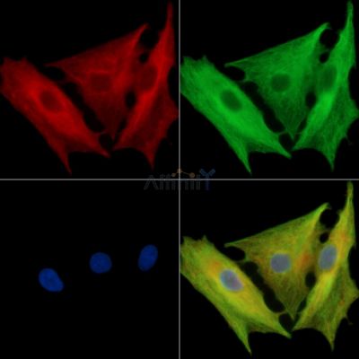 Валидация Affinity DF14519 - 10504