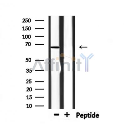 Валидация Affinity DF6534 - 17959