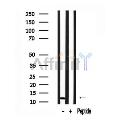 Валидация Affinity AF7577 - 4241