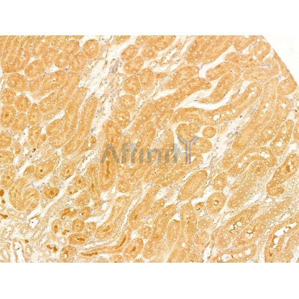 Валидация Affinity DF4633 - 16273