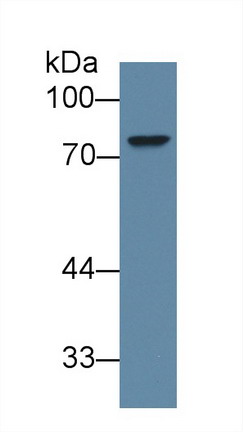 8949