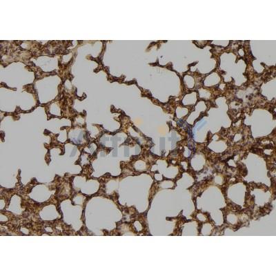 Валидация Affinity DF6383 - 17742