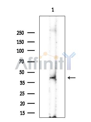 Валидация Affinity AF3944 - 2078
