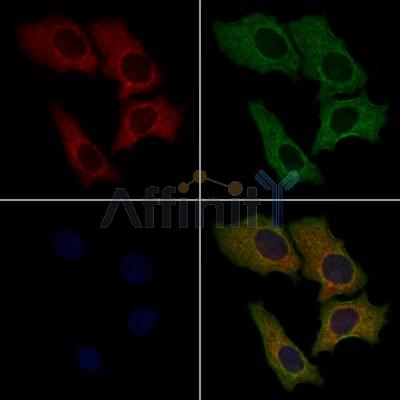 Валидация Affinity DF9038 - 21283