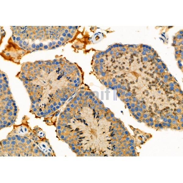 Валидация Affinity DF10007 - 5444