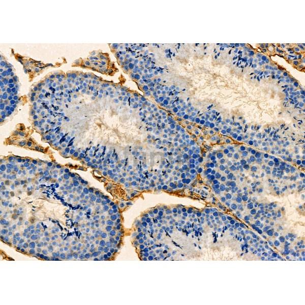 Валидация Affinity DF9920 - 22902