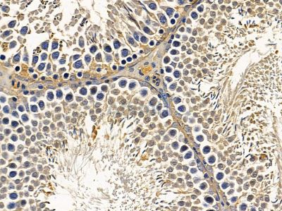 Валидация Affinity DF12780 - 7469