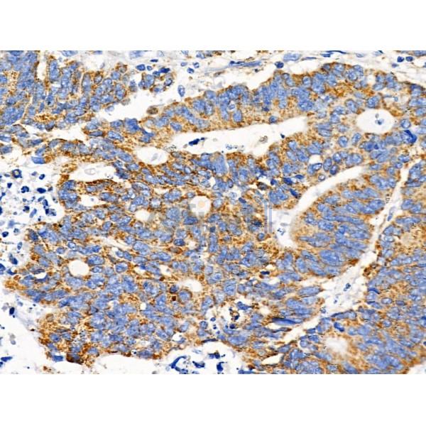 Валидация Affinity DF3423 - 14326