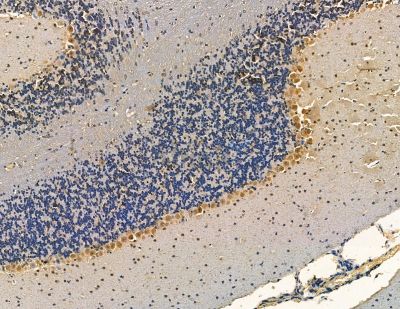 Валидация Affinity DF13777 - 9444