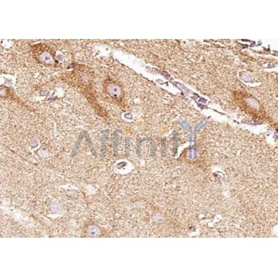 Валидация Affinity AF5271 - 2792