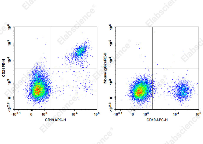 Валидация Elabscience E-AB-F1377D