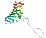 Trophoblast Glycoprotein (TPBG)