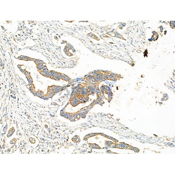 Валидация Affinity DF4280 - 15688