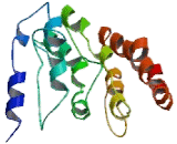 Integrin Beta 3 Binding Protein (ITGb3BP) Integrin Beta 3 Binding Protein (ITGb3BP)