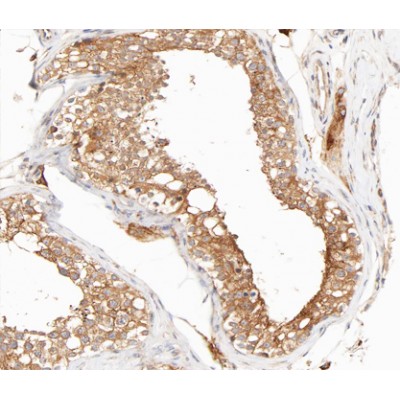 Валидация Affinity AF3495 - 2029