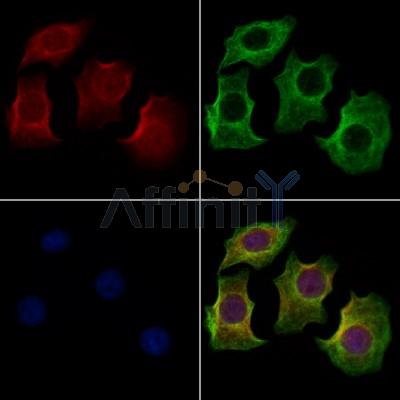 Валидация Affinity DF10241 - 5826