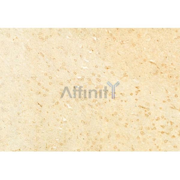 Валидация Affinity DF7802 - 19617