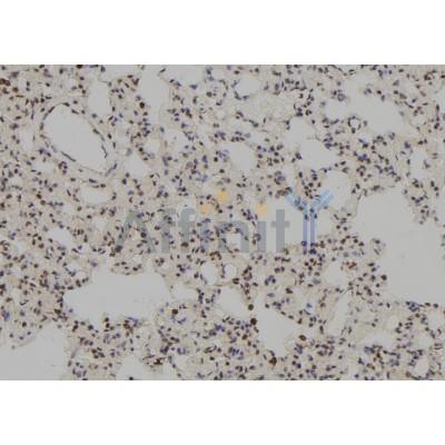 Валидация Affinity DF7457 - 19215