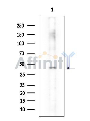 Валидация Affinity DF14520 - 10505