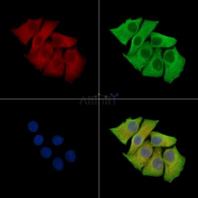 Валидация Affinity DF15964 - 12489