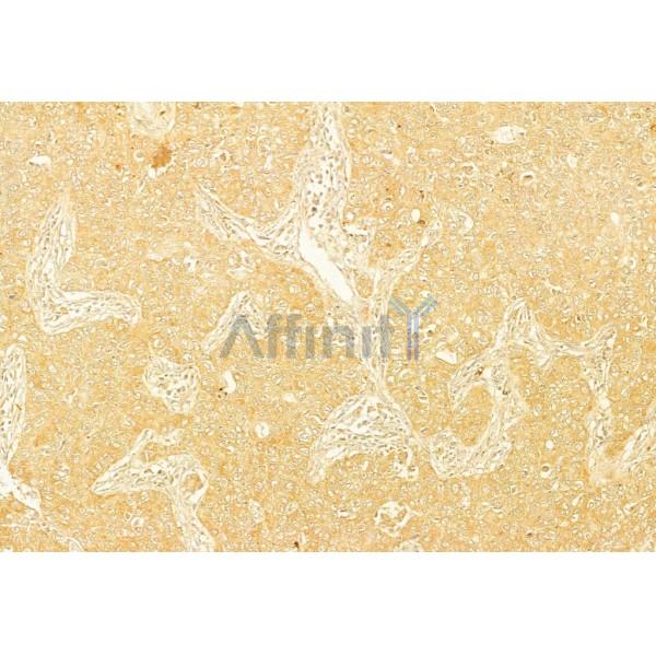 Валидация Affinity AF5304 - 2852