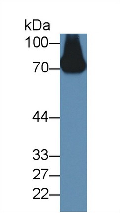 8369