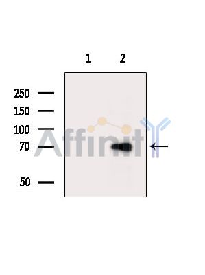 Валидация Affinity DF4483 - 16020