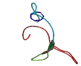 Cerebral Endothelial Cell Adhesion Molecule (CERCAM) Cerebral Endothelial Cell Adhesion Molecule (CERCAM)