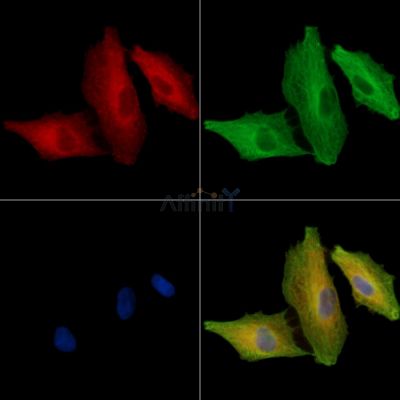 Валидация Affinity DF15955 - 12476