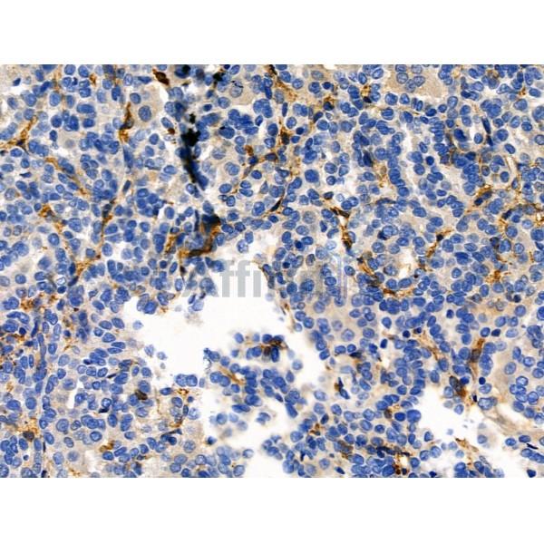 Валидация Affinity DF4984 - 16834