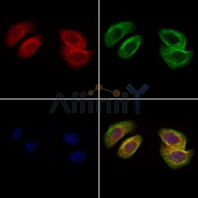 Валидация Affinity DF6366 - 17715