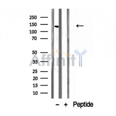 Валидация Affinity DF12146 - 6330