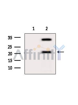 Валидация Affinity DF3110 - 13875