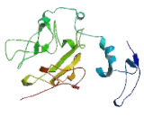 G Protein Coupled Receptor Associated Sorting Protein 1 (GPRASP1) G Protein Coupled Receptor Associated Sorting Protein 1 (GPRASP1)